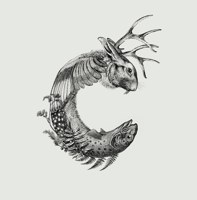LECLAN Symbole